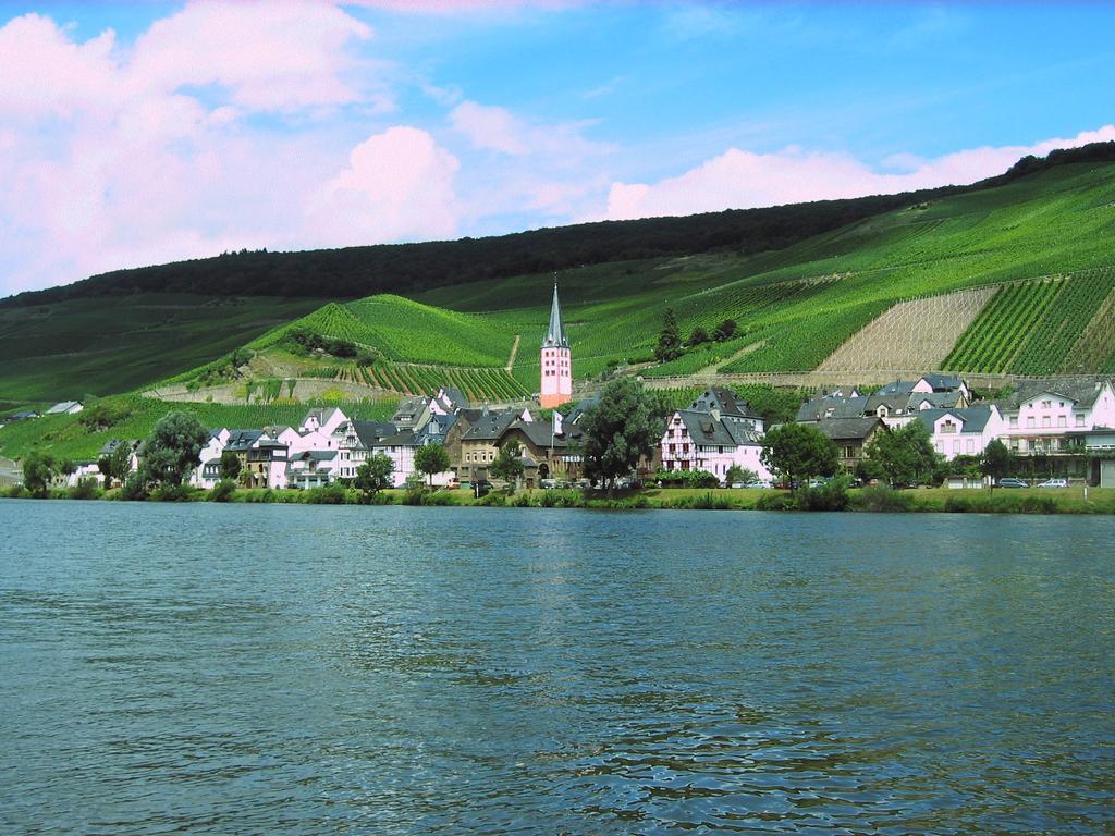 Ferienwohnung am Moselufer Zell Exterior foto